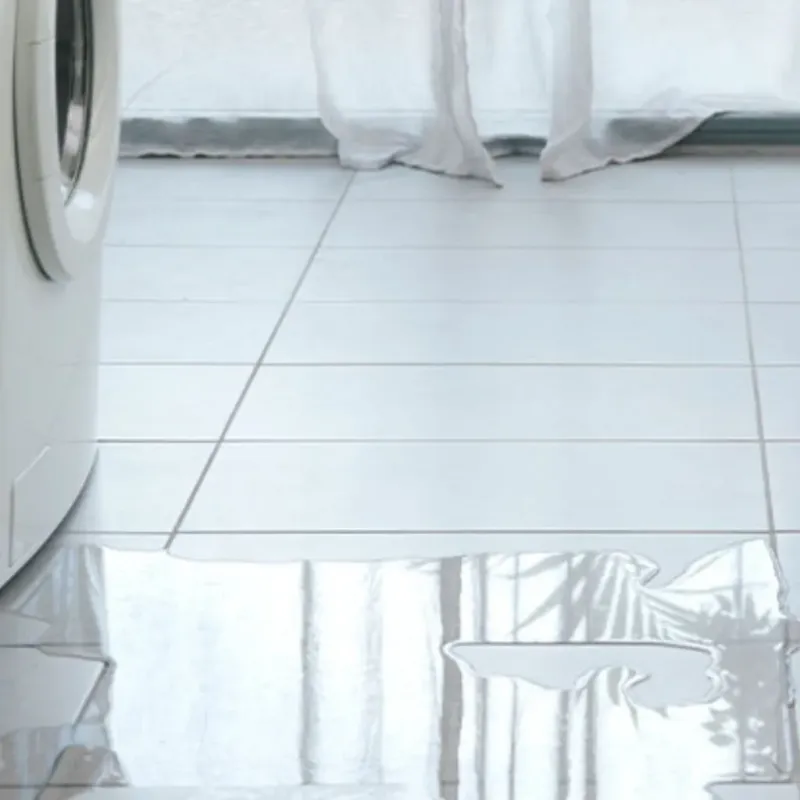 Appliance Leak Cleanup in Window Rock, AZ