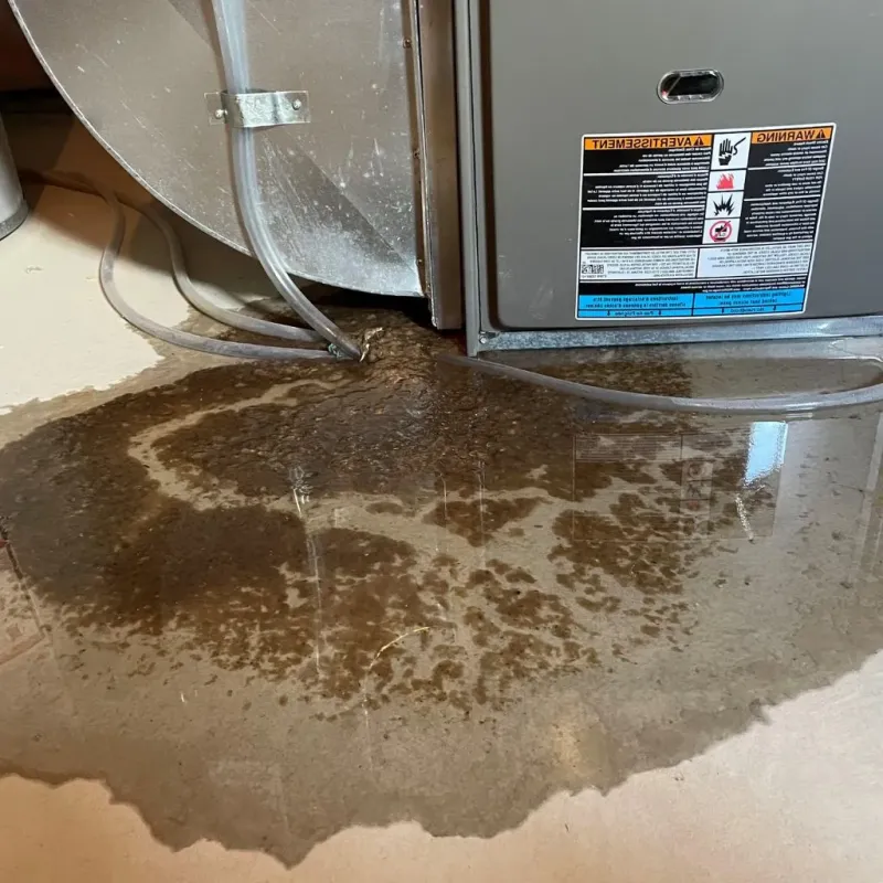 Pipe Burst and Leak Restoration in Window Rock, AZ